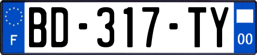 BD-317-TY