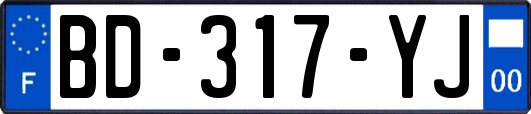 BD-317-YJ