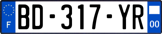 BD-317-YR