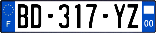 BD-317-YZ
