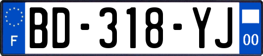 BD-318-YJ