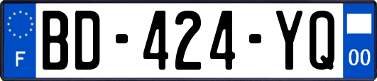 BD-424-YQ