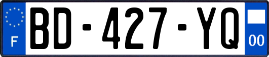 BD-427-YQ
