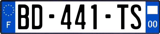 BD-441-TS