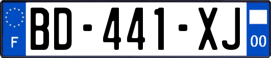 BD-441-XJ