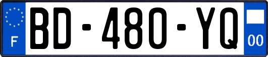 BD-480-YQ