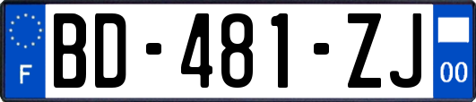 BD-481-ZJ