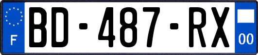 BD-487-RX