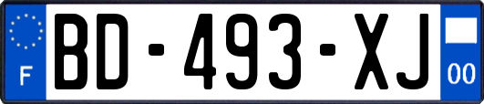 BD-493-XJ
