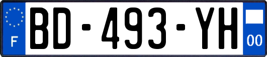 BD-493-YH