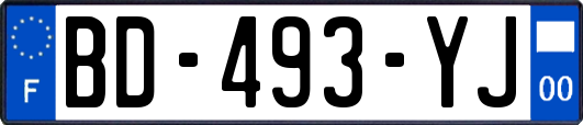 BD-493-YJ