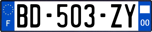 BD-503-ZY