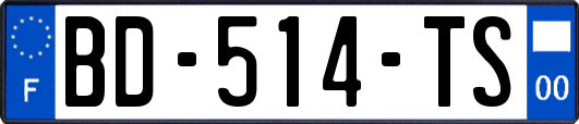 BD-514-TS