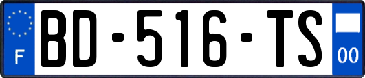 BD-516-TS