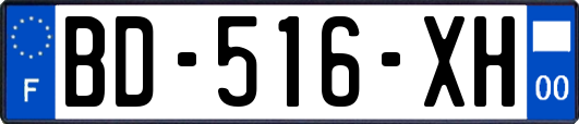 BD-516-XH
