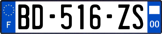 BD-516-ZS