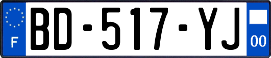 BD-517-YJ