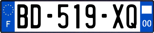 BD-519-XQ