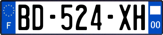 BD-524-XH