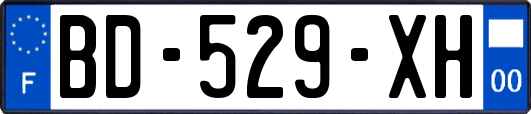 BD-529-XH
