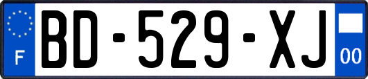 BD-529-XJ