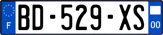 BD-529-XS