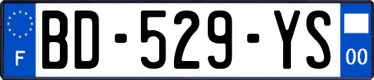 BD-529-YS
