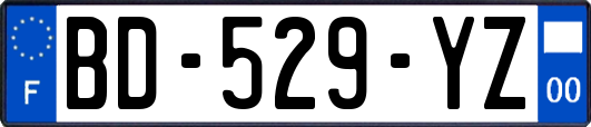 BD-529-YZ