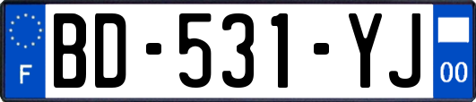 BD-531-YJ