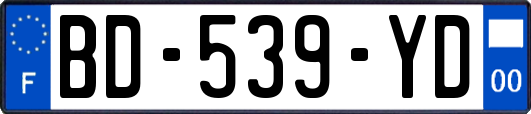 BD-539-YD