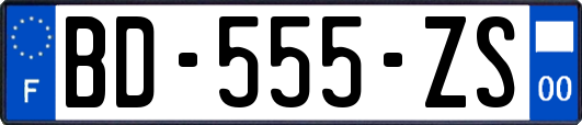 BD-555-ZS