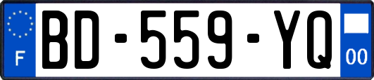 BD-559-YQ