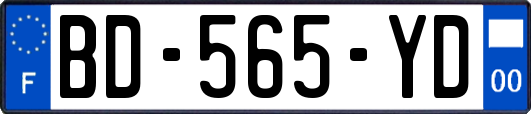 BD-565-YD