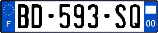 BD-593-SQ