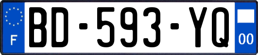 BD-593-YQ