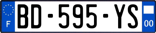 BD-595-YS