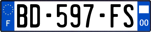 BD-597-FS
