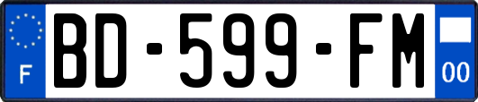 BD-599-FM