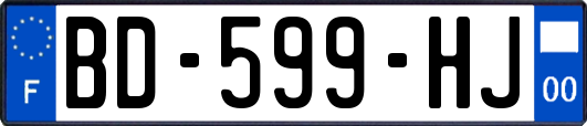 BD-599-HJ