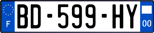 BD-599-HY