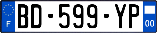 BD-599-YP