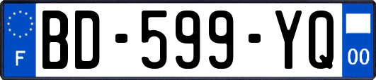 BD-599-YQ