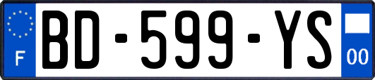 BD-599-YS