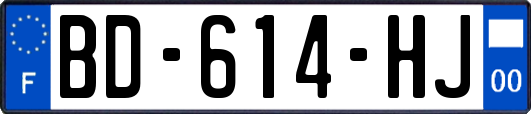 BD-614-HJ