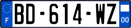 BD-614-WZ