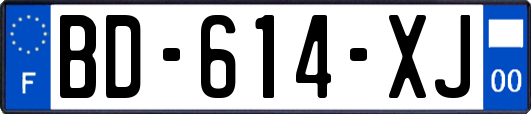 BD-614-XJ