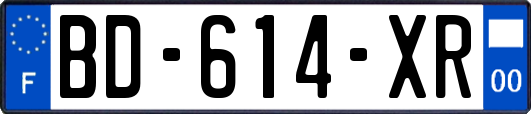 BD-614-XR
