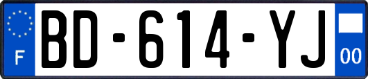 BD-614-YJ