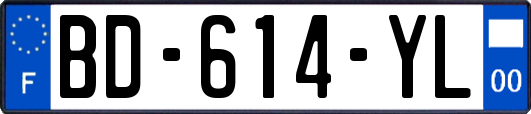 BD-614-YL