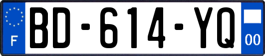 BD-614-YQ